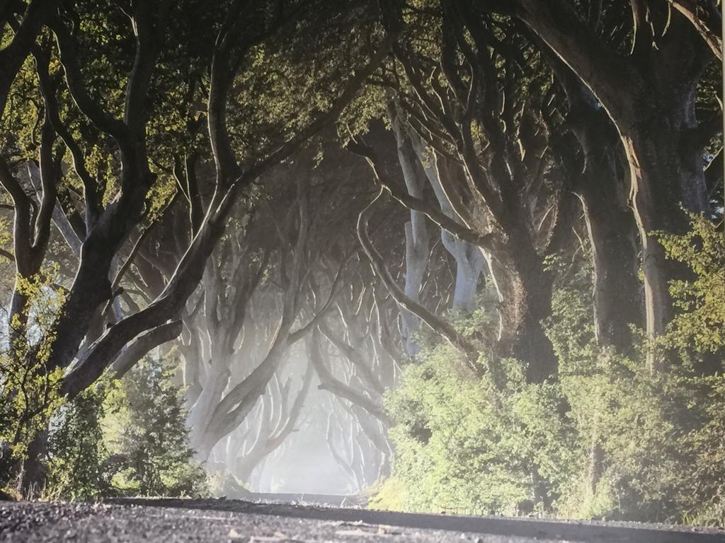Dark Hedges Cottage Ballycastle Exterior foto