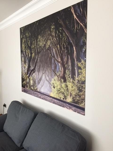 Dark Hedges Cottage Ballycastle Exterior foto